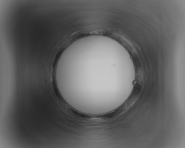 X0000102380413200808010918