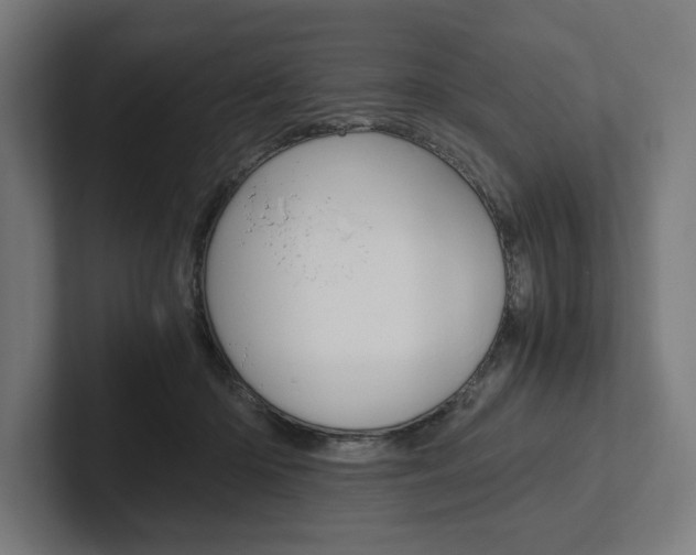 X0000102380414200808010918