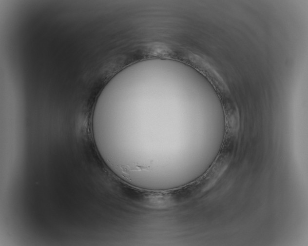 X0000102380415200808010918