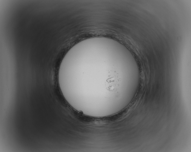 X0000102380416200808010918