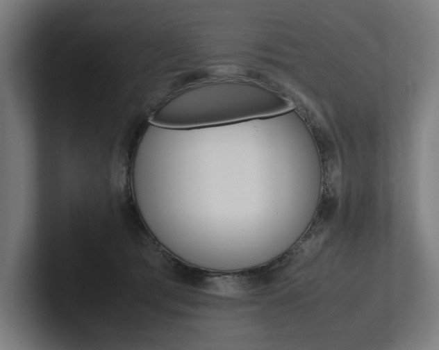 X0000102380417200808010918