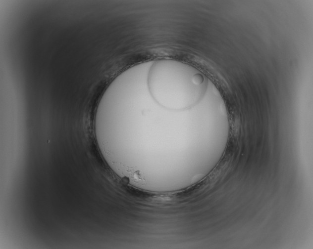 X0000102380418200808010918