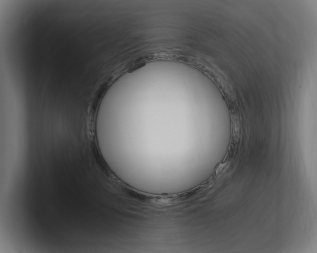 X0000102380419200808010918