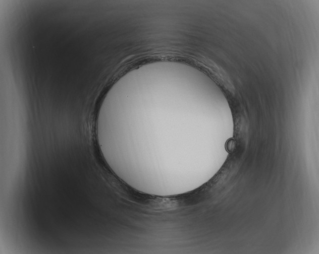 X0000102380421200808010918