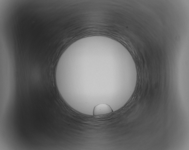 X0000102380423200808010918