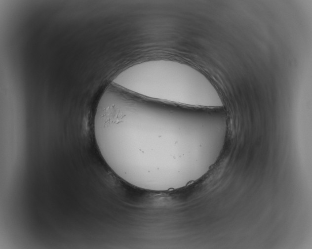 X0000102380424200808010918