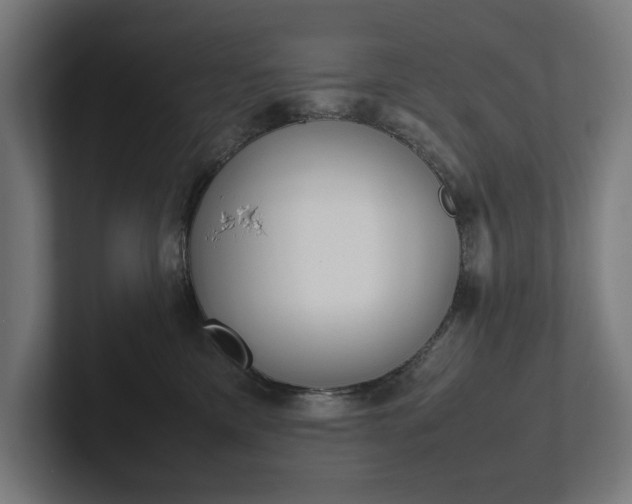 X0000102380425200808010918