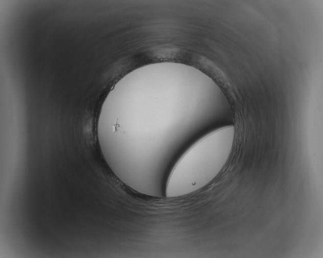 X0000102380428200808010918