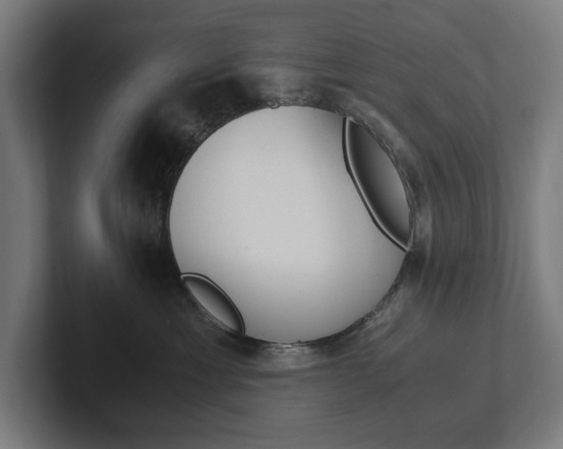 X0000102380429200808010918