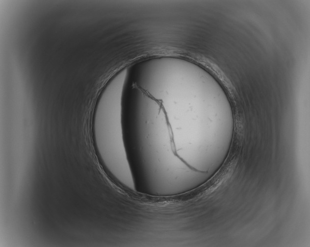 X0000102380433200808010917