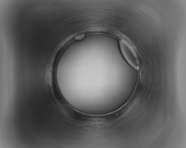 X0000102380436200808010917