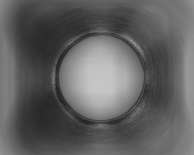X0000102380437200808010917