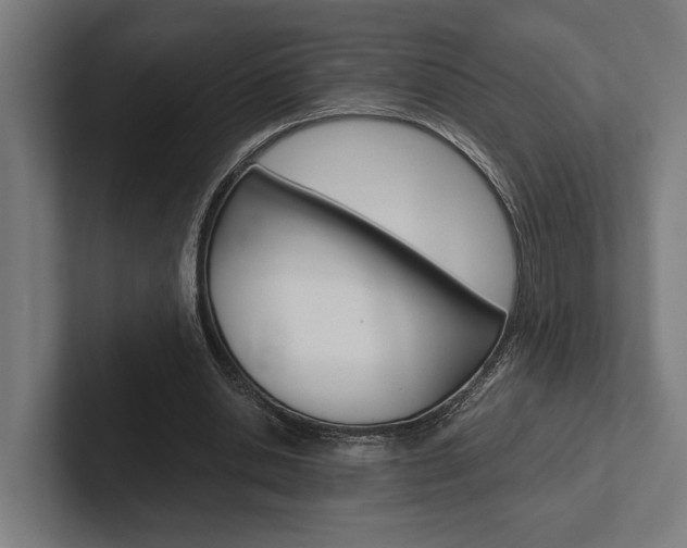 X0000102380438200808010917