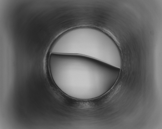 X0000102380439200808010917