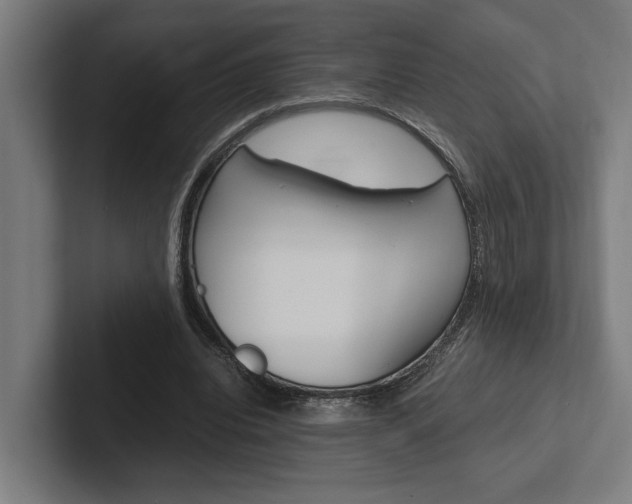 X0000102380440200808010917