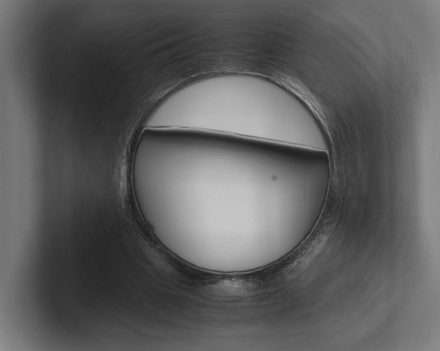 X0000102380441200808010917