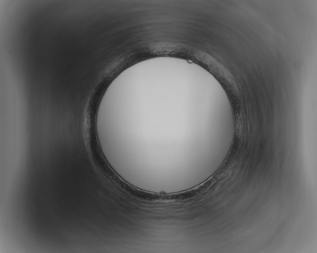 X0000102380448200808010917