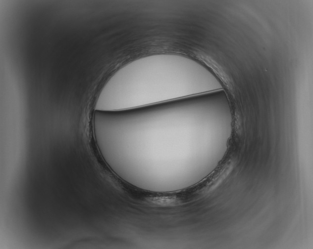 X0000102380449200808010917