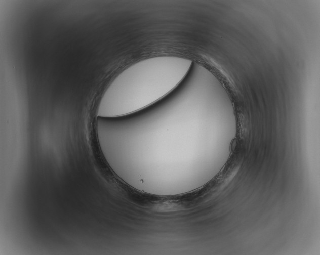 X0000102380451200808010917
