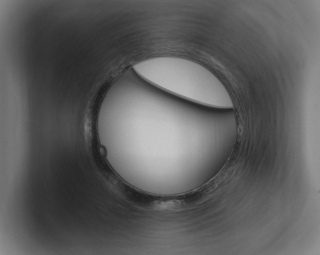 X0000102380452200808010917