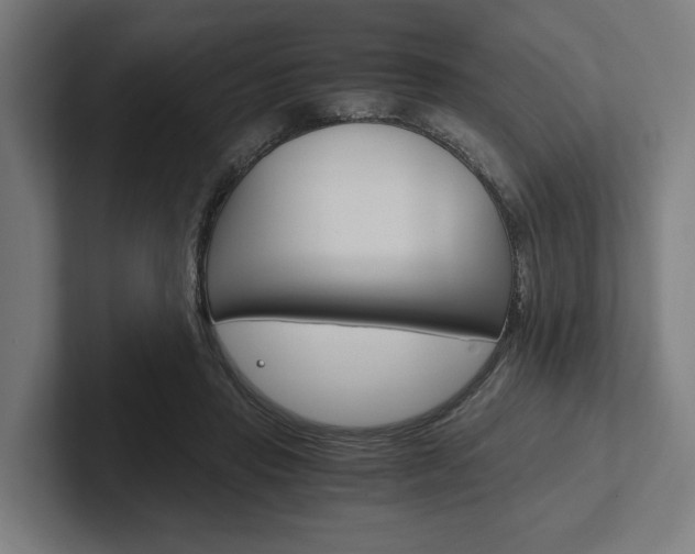 X0000102380453200808010917