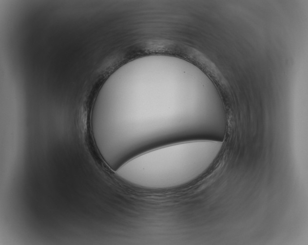 X0000102380454200808010917