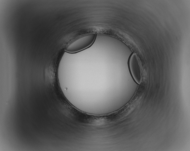 X0000102380456200808010918