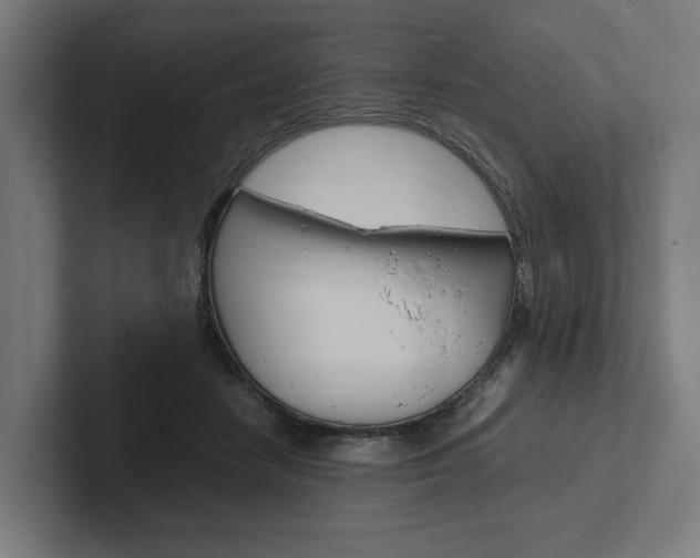 X0000102380458200808010918