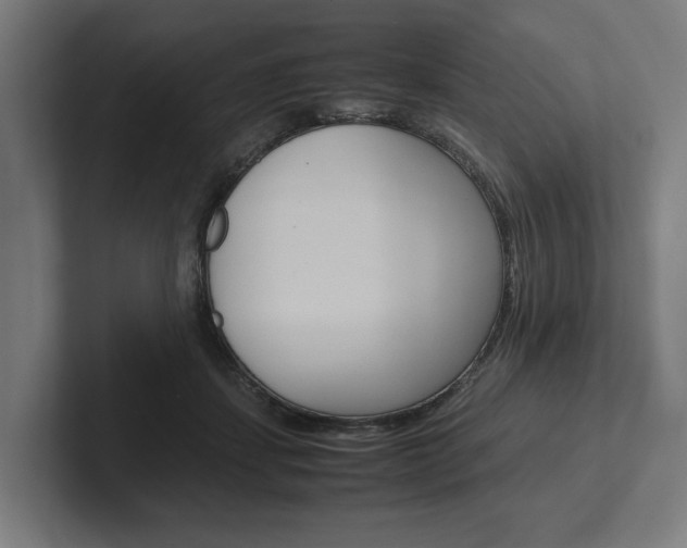 X0000102380459200808010918