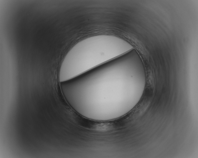X0000102380461200808010918