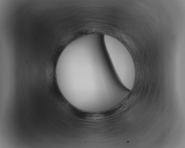 X0000102380463200808010918