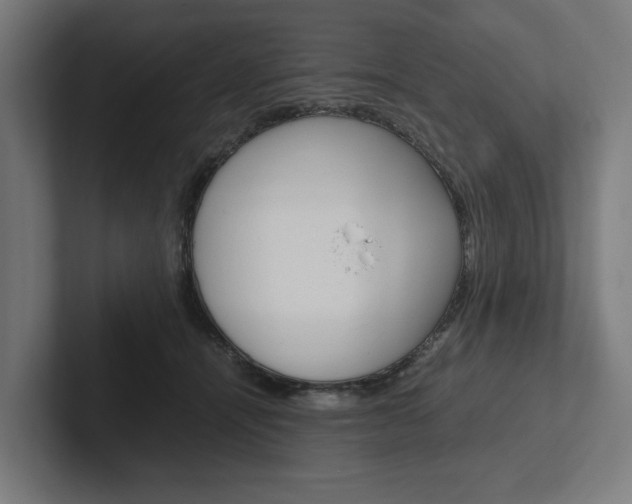 X0000102380464200808010918