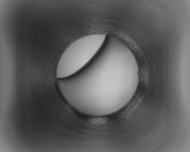 X0000102380465200808010918