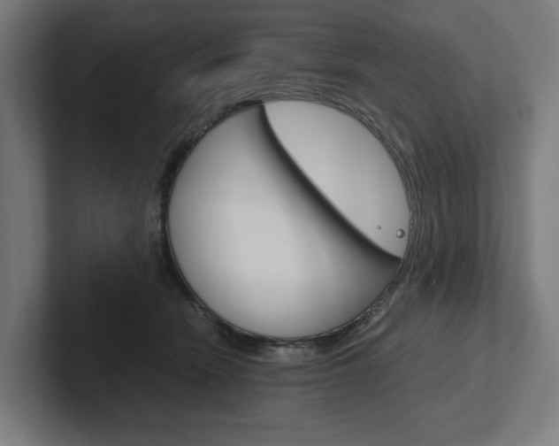 X0000102380466200808010918