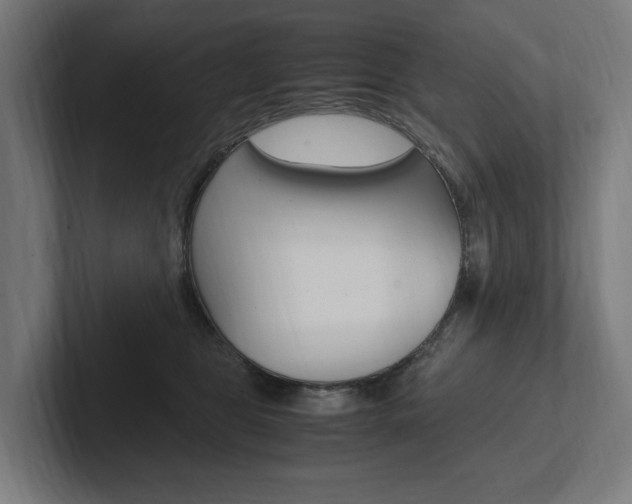X0000102380469200808010918