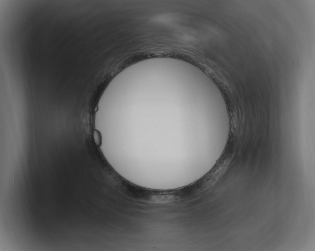 X0000102380470200808010918