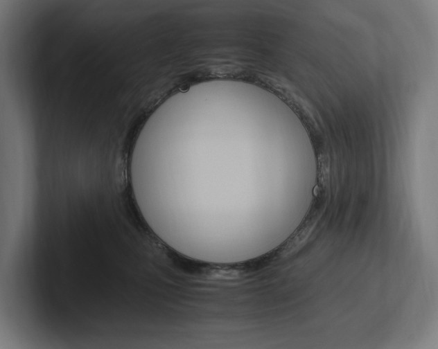 X0000102380471200808010918