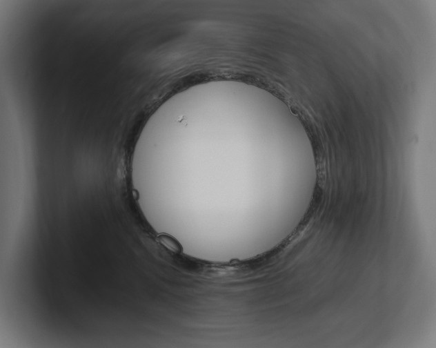 X0000102380472200808010918