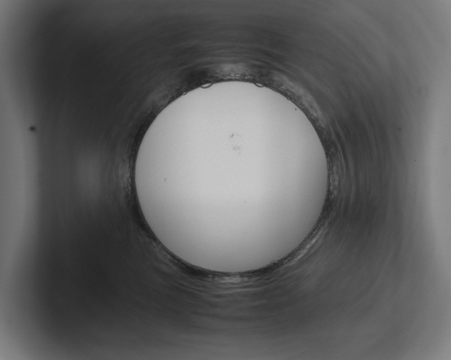 X0000102380473200808010918
