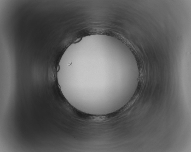 X0000102380474200808010918