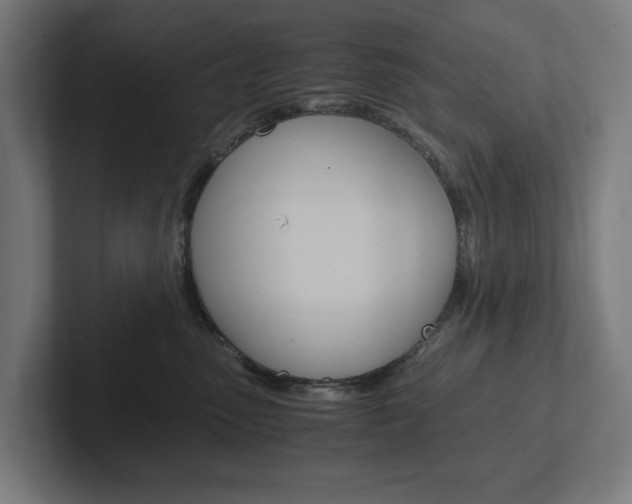 X0000102380475200808010918