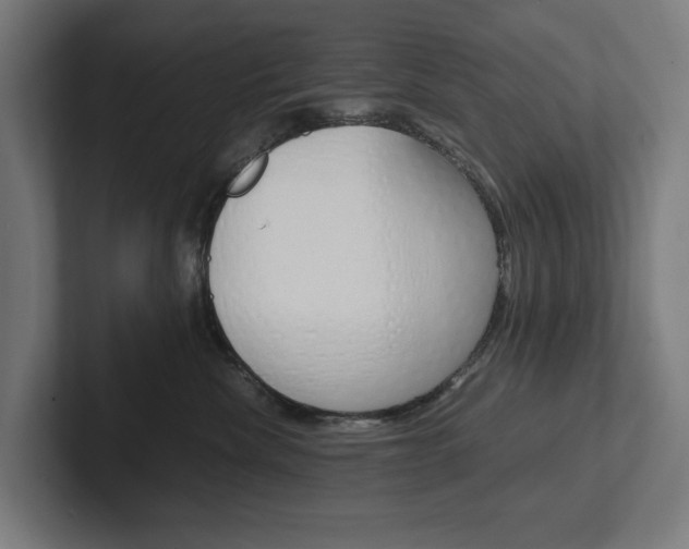 X0000102380476200808010918