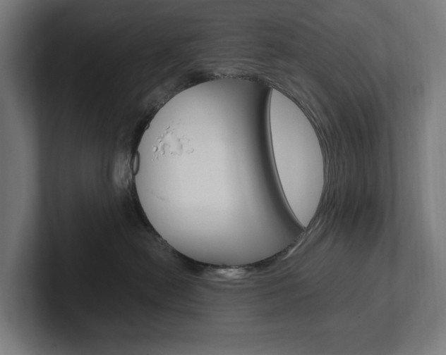 X0000102380478200808010918
