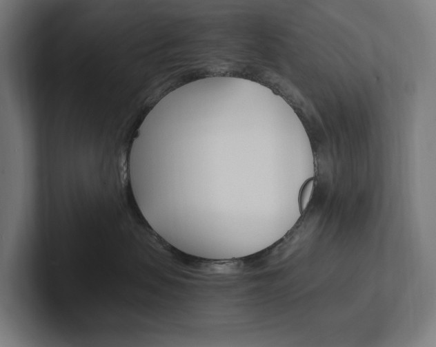 X0000102380479200808010918