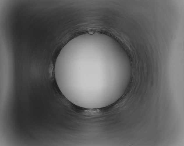 X0000102380480200808010918
