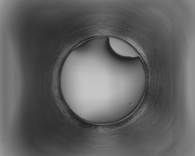 X0000102380481200808010917