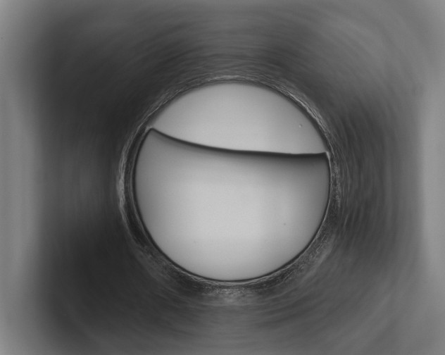 X0000102380482200808010917
