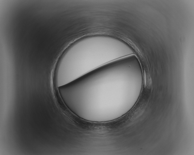 X0000102380483200808010917
