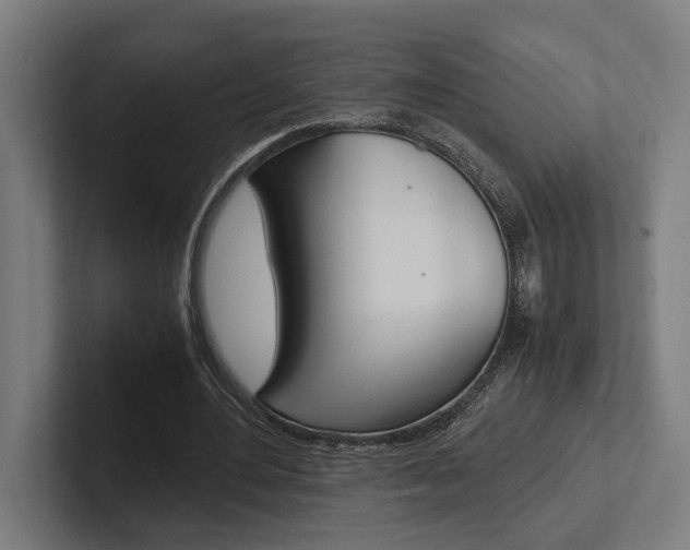 X0000102380484200808010917
