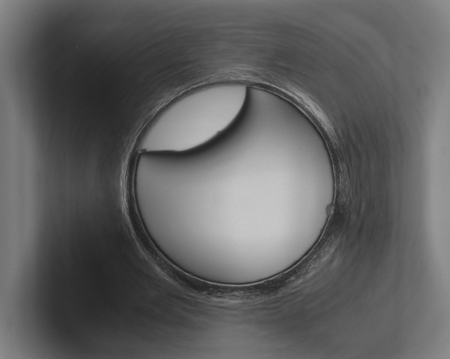 X0000102380485200808010917